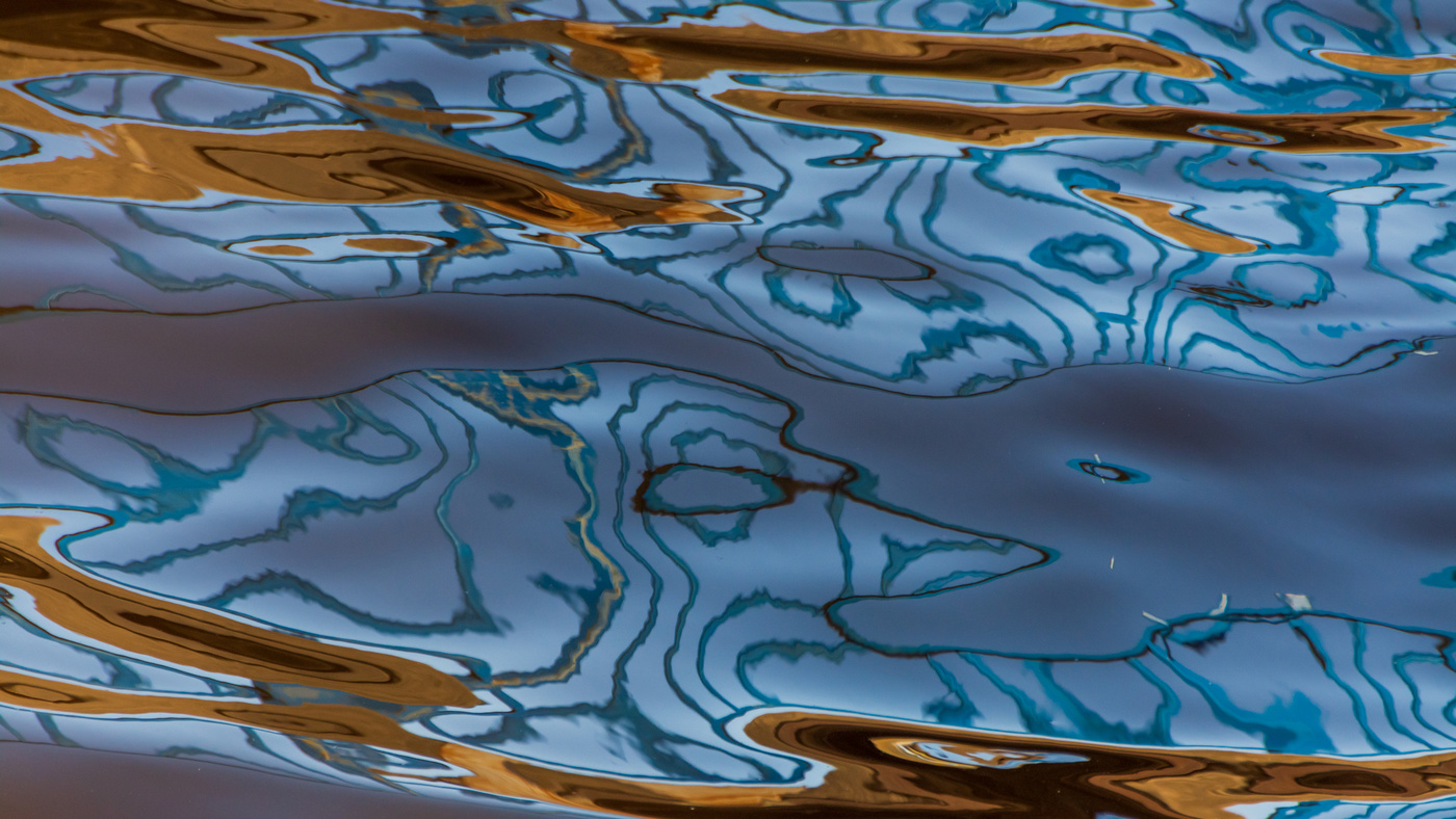 Жизнь вокруг