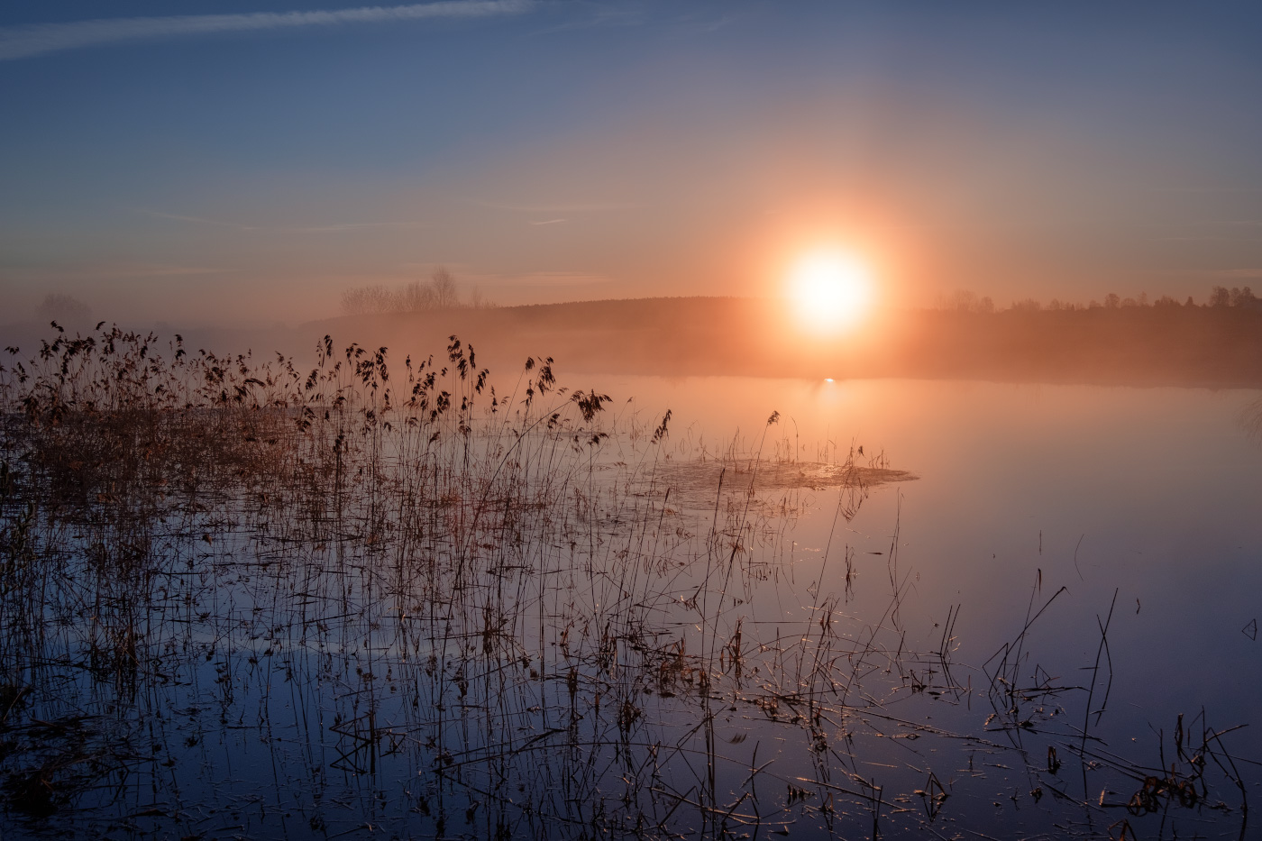 Весенний рассветный покой