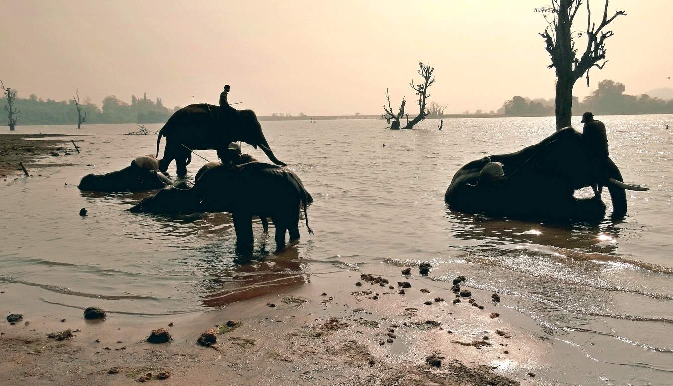 Безмятежная пятница