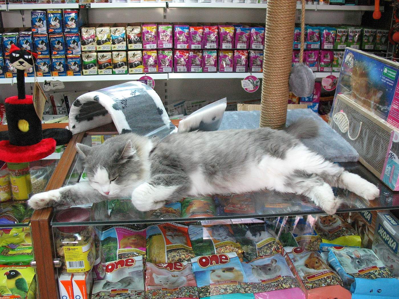 Безмятежная пятница