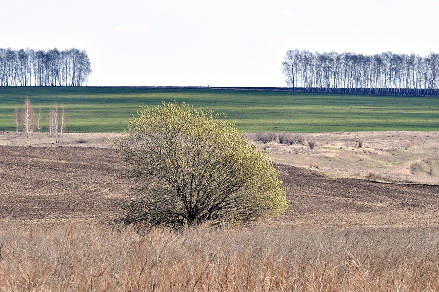Безмятежная пятница