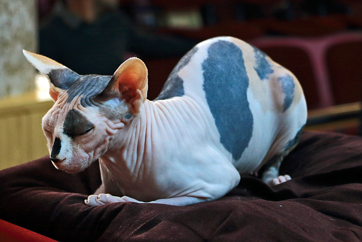 Безмятежная пятница