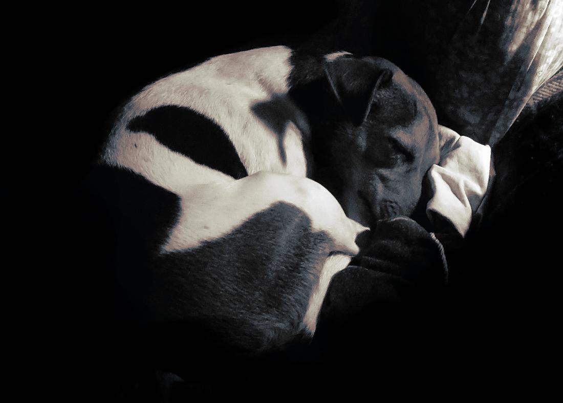 Безмятежная пятница