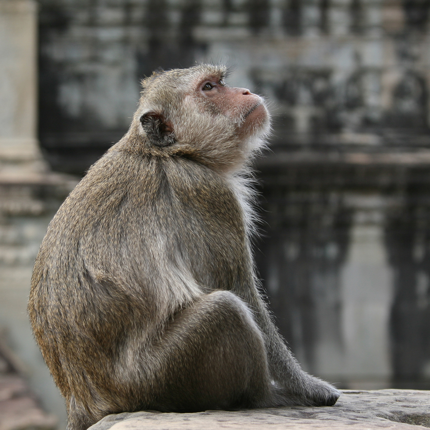 Безмятежная пятница