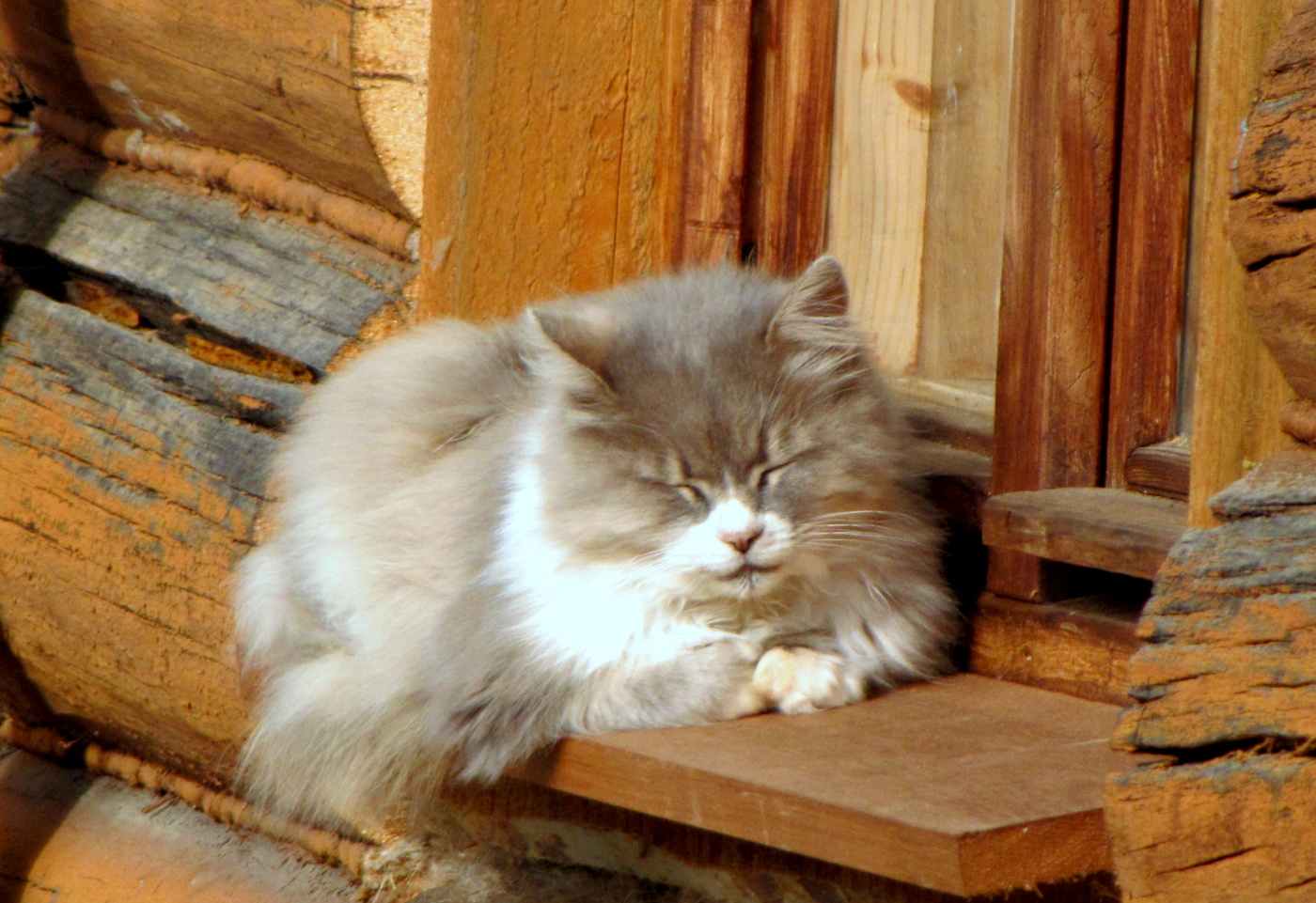 Безмятежная пятница