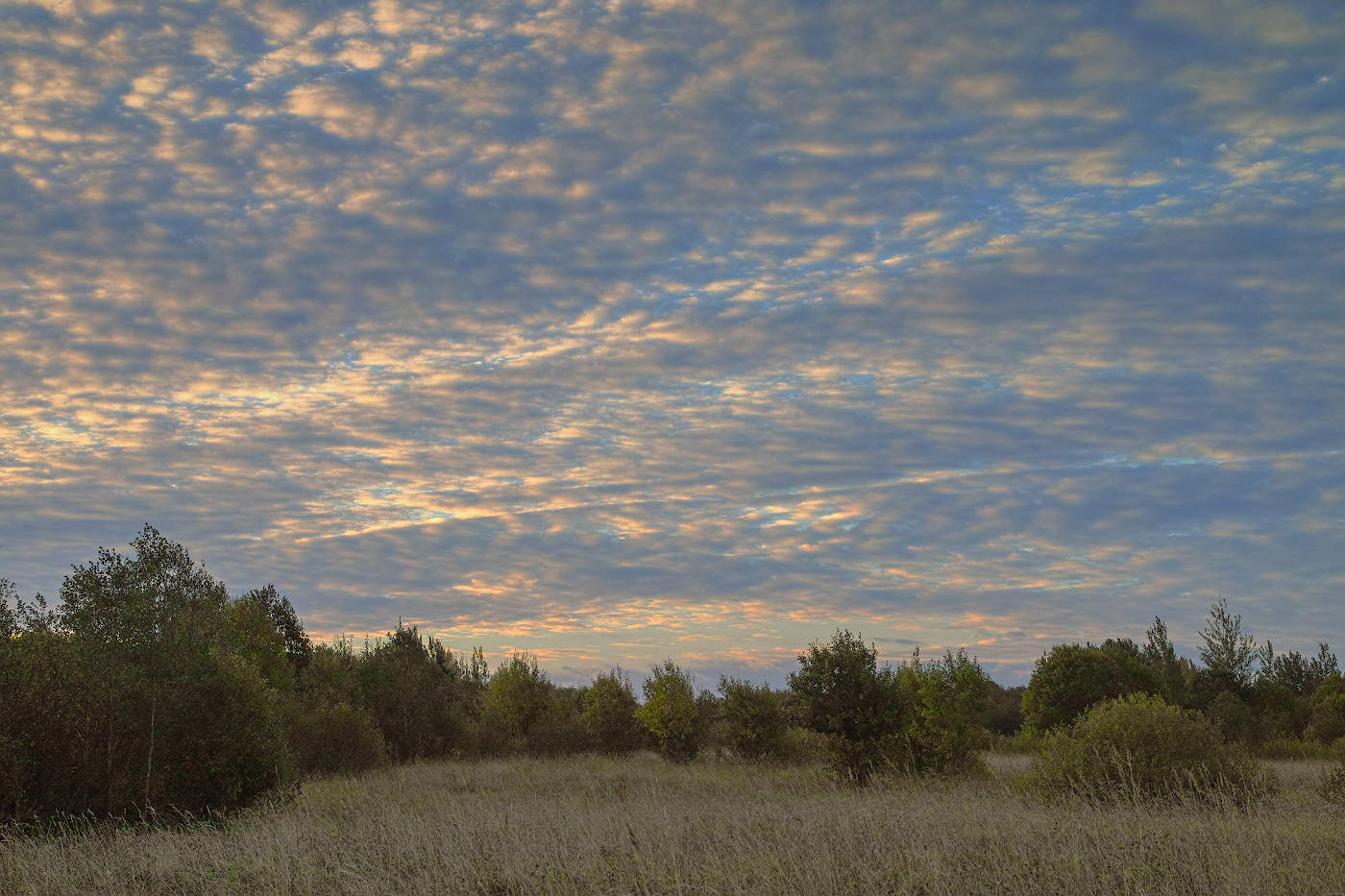 Меланжевый рассвет