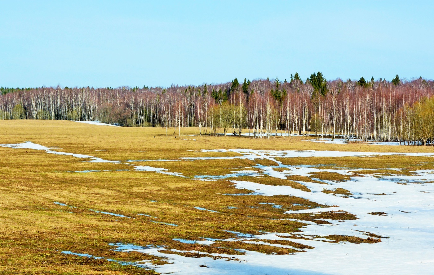 "От сна пробудившись, земля задышала ..."