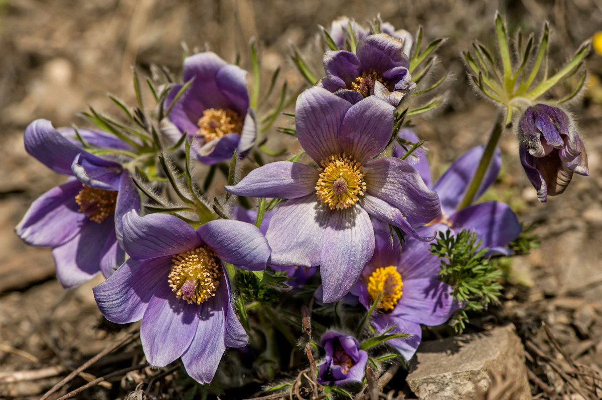 Греясь на солнышке...
