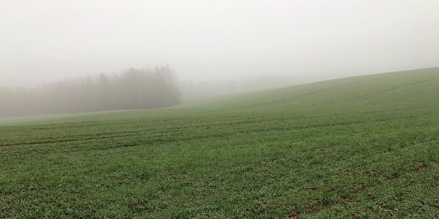 Апрель в Беларуси