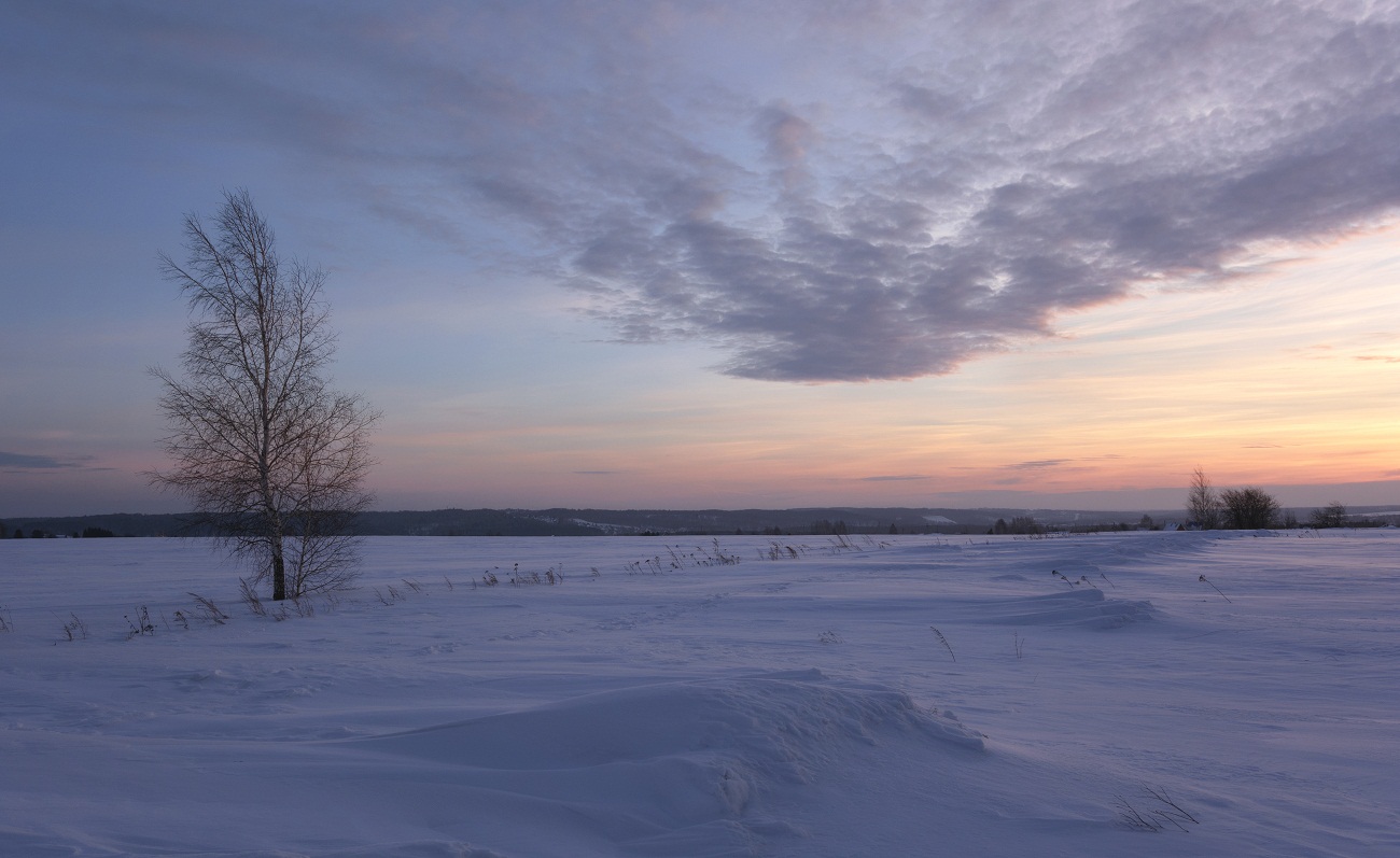 В ожидании рассвета.