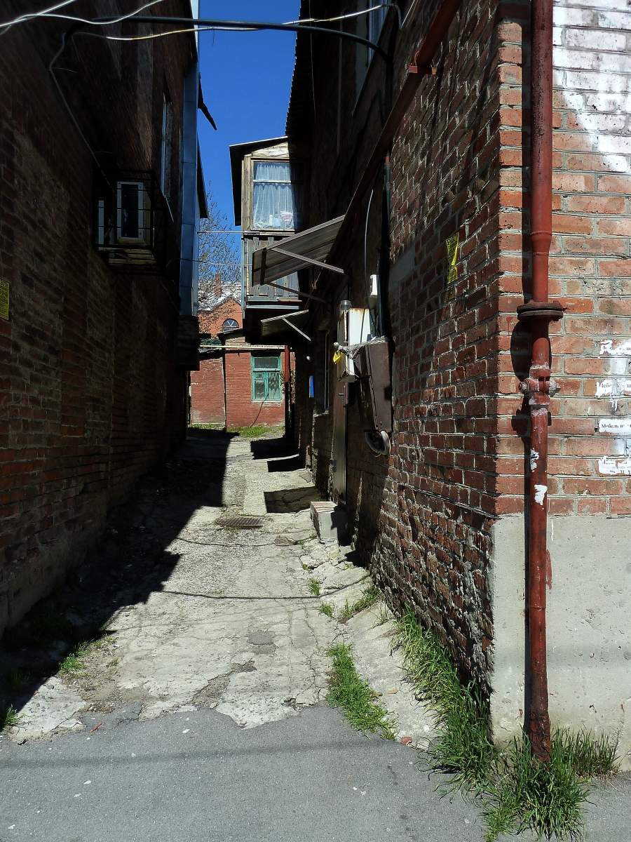 цветной день