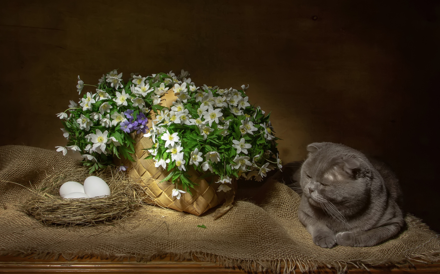 ​Мы снимали натюрморт:)