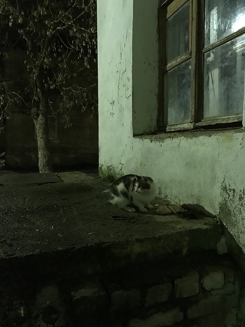 про окна ..мартовские