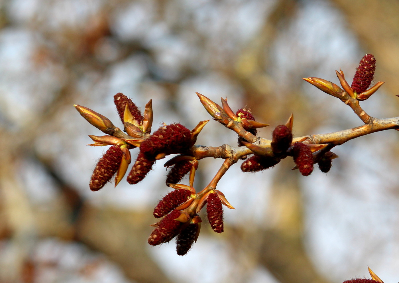 Весна идет!