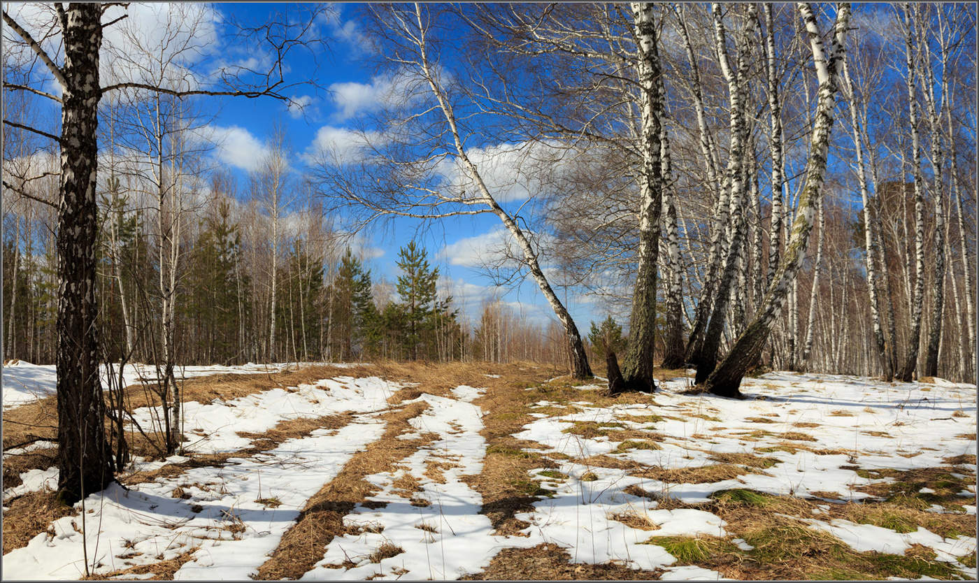 Проталины...