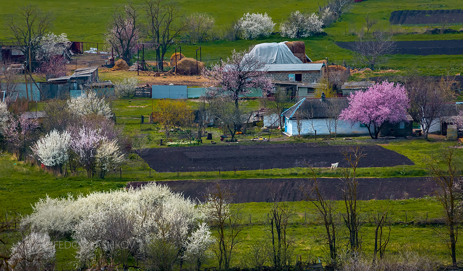 Весна в станице