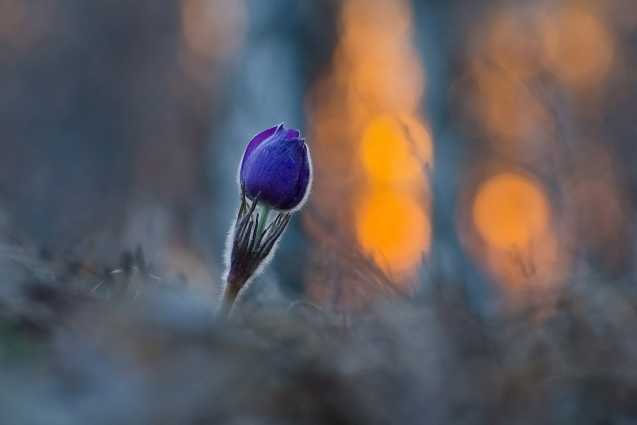 Эффект заката