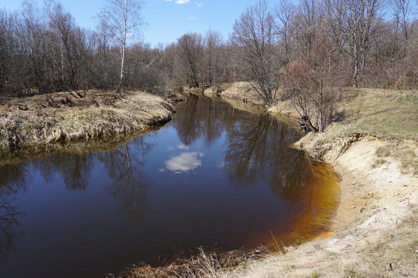 Лесная река Серёжа.