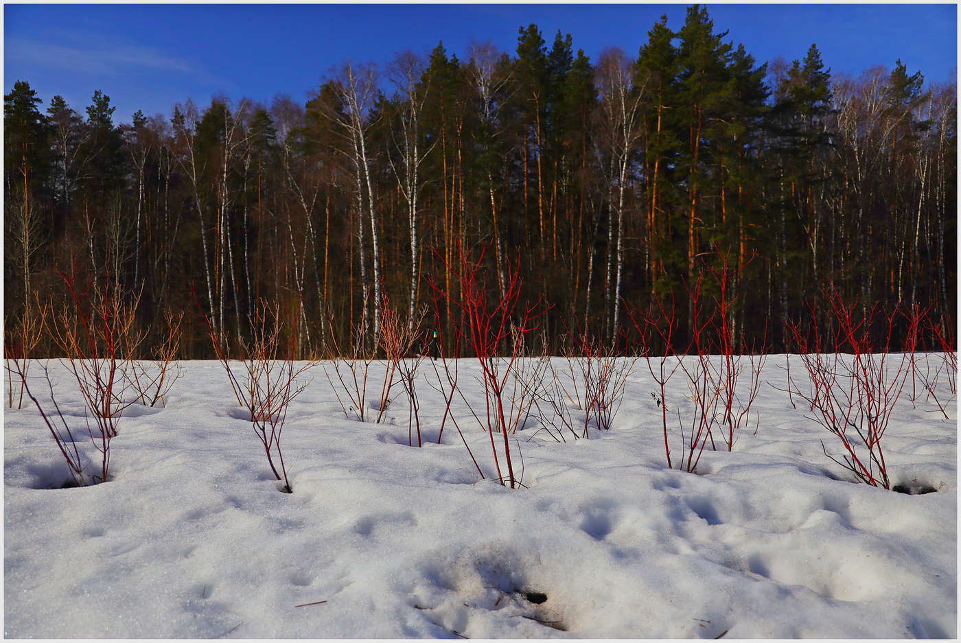 Здравствуй, племя молодое ...