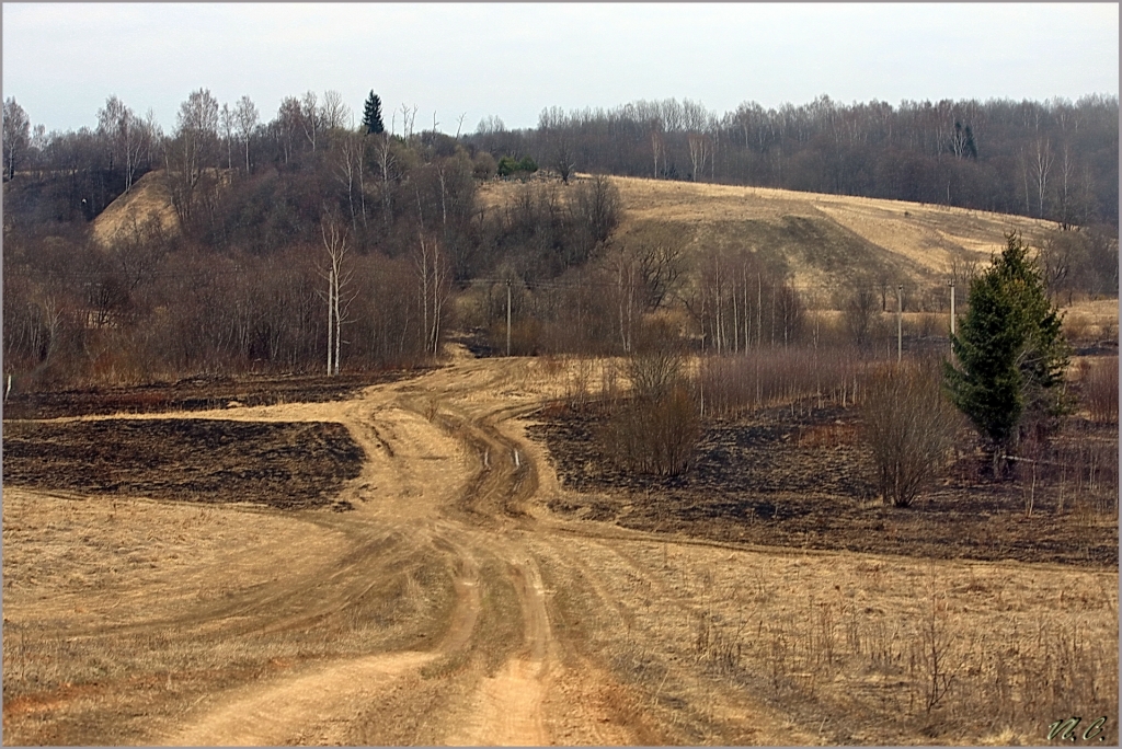 куда ты дорога...