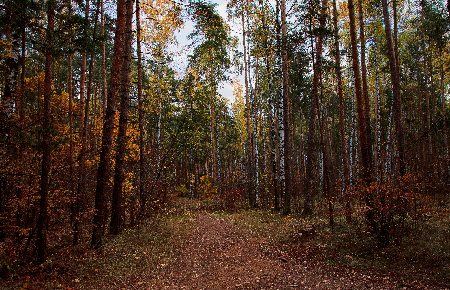 Отрывочное воспоминание