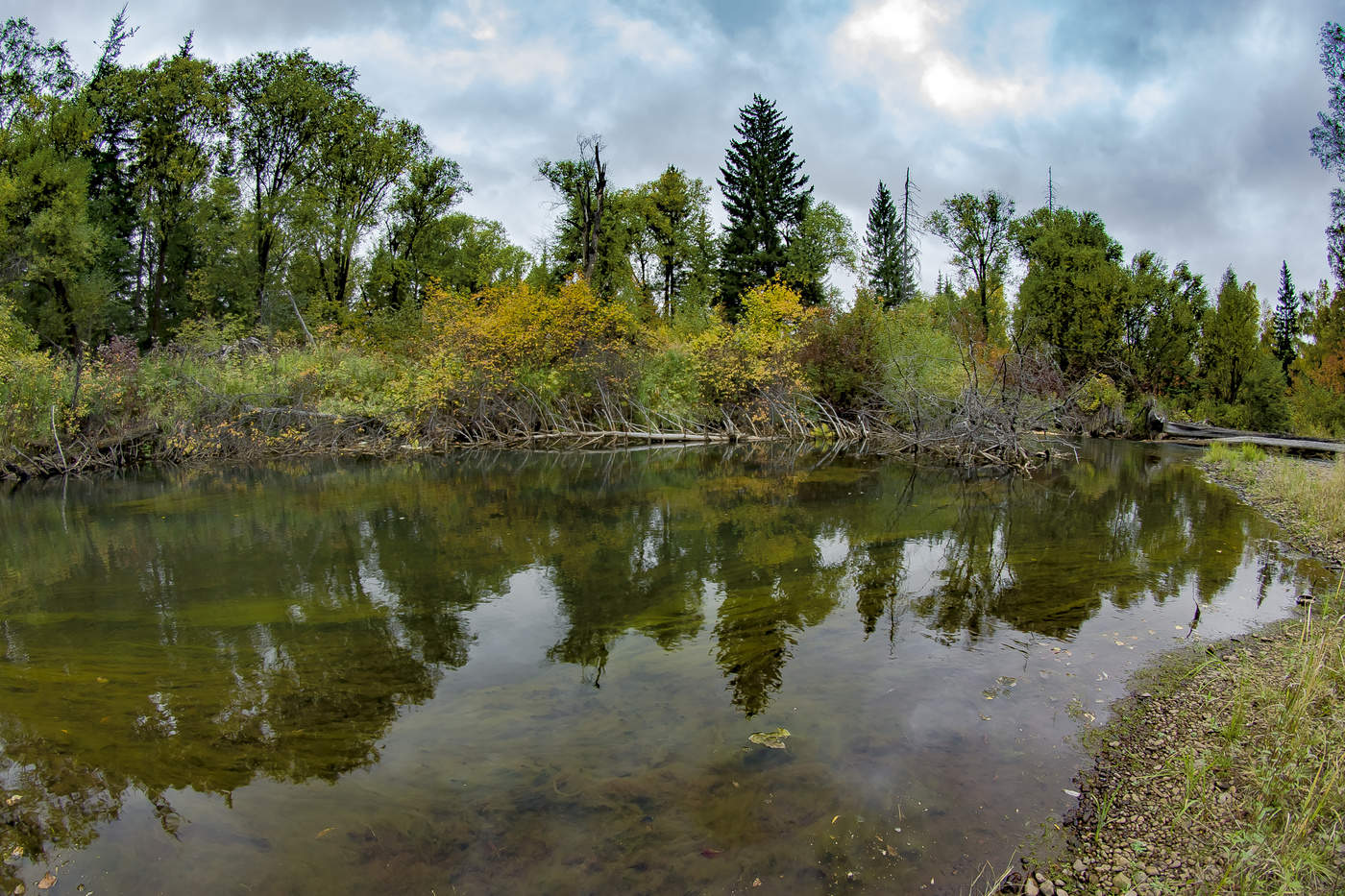 Таежная осень