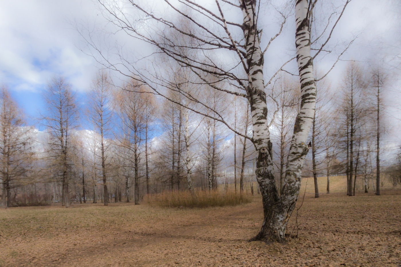 Днём апреля