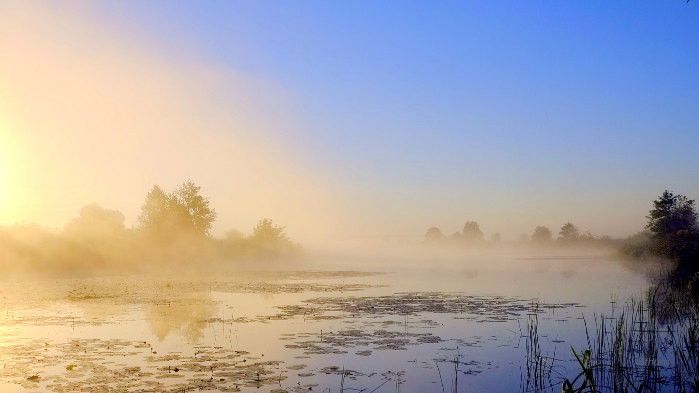 Утренний пейзаж.