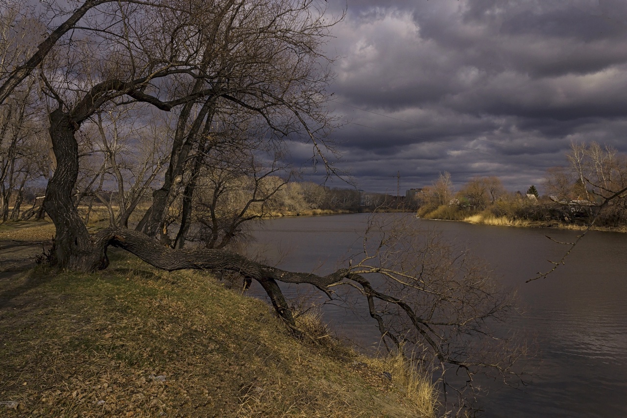 "пасмурный день"