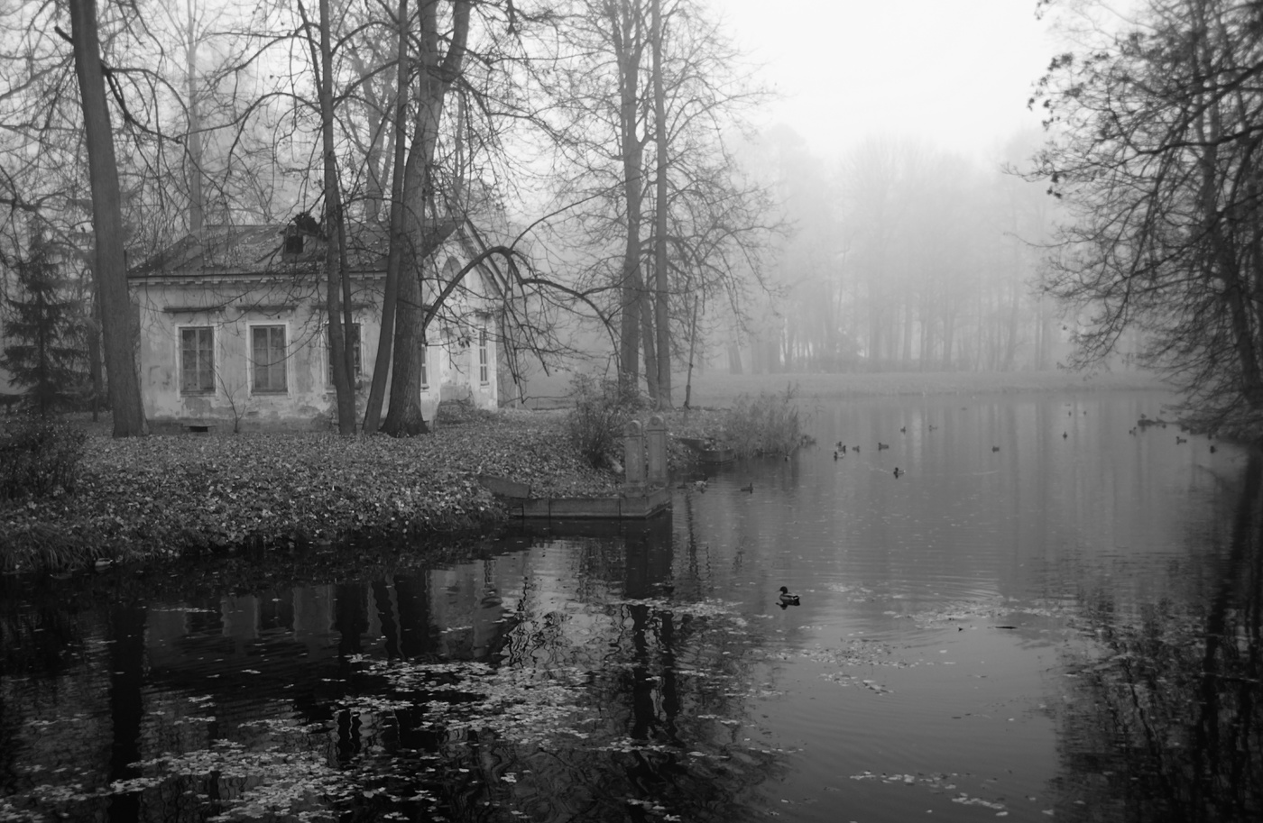 Осеннее утро...