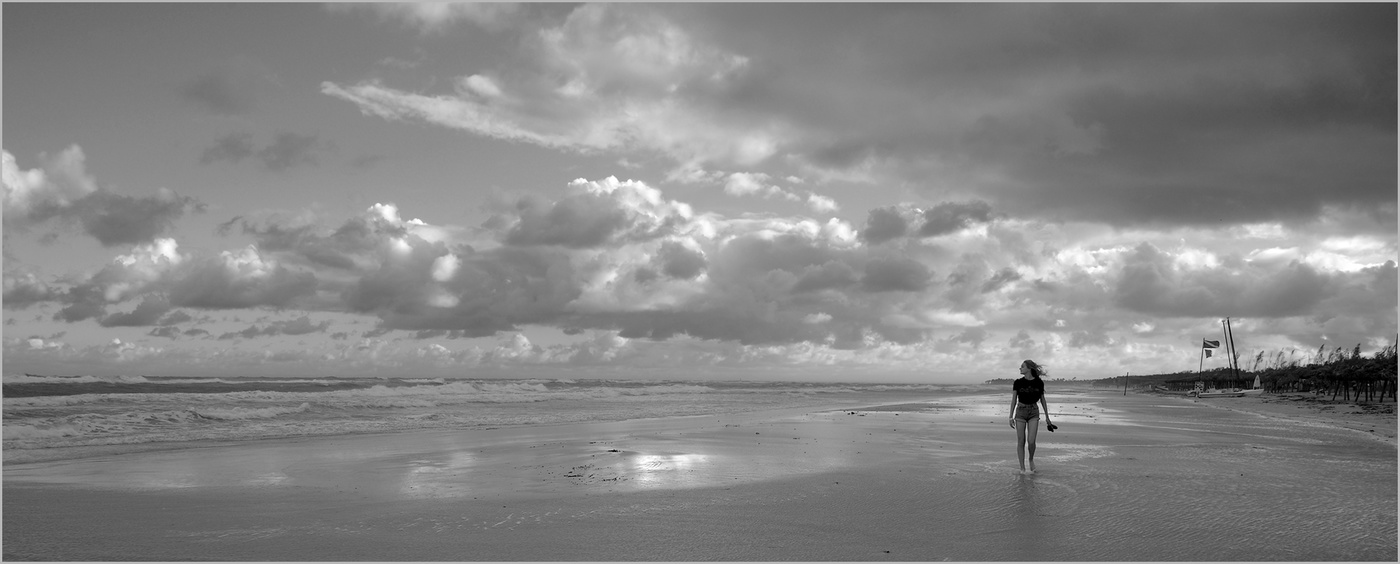 Свежий ветер