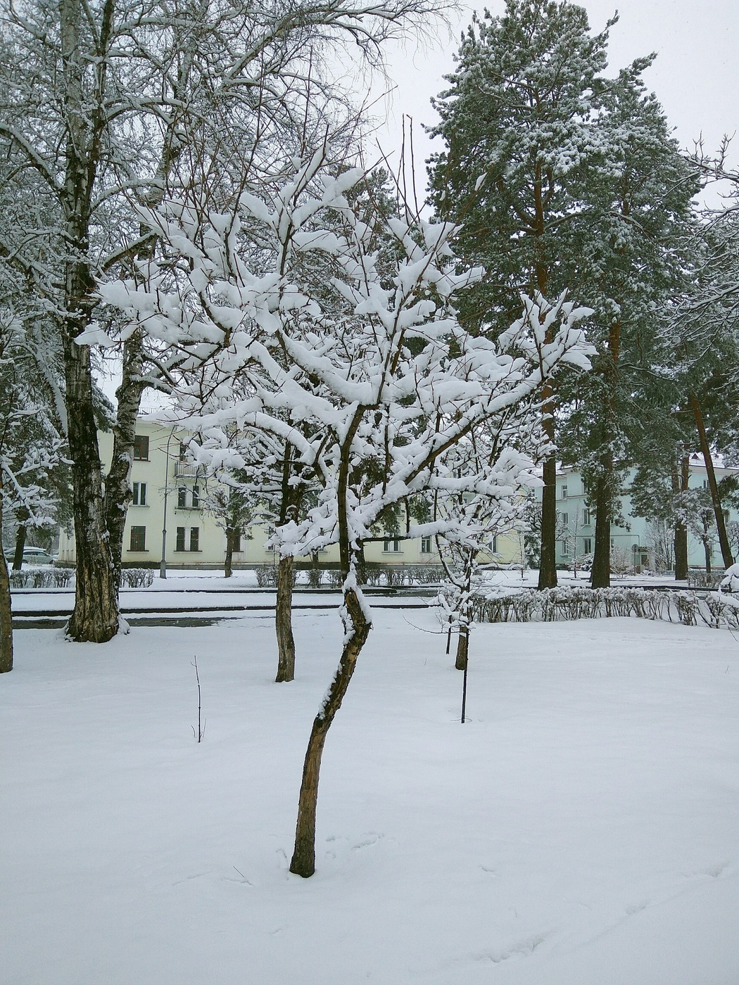 Апрельская зима. 29.04.2019