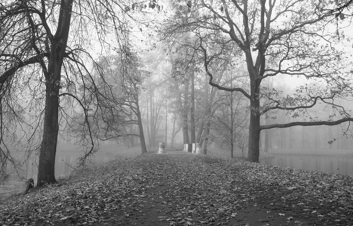 Осеннее утро...