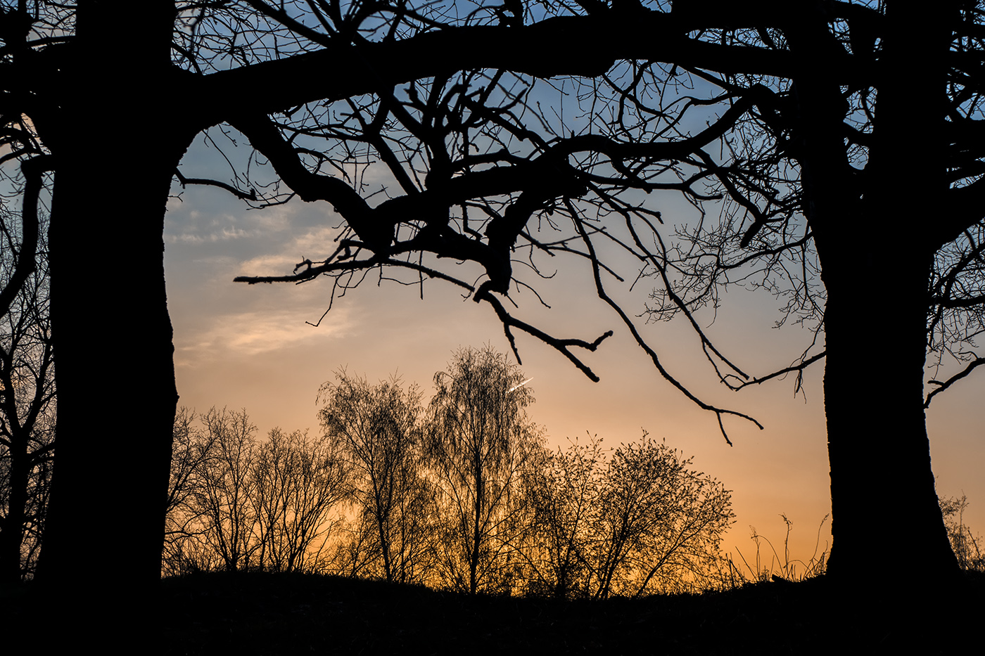 Апрельская сцена