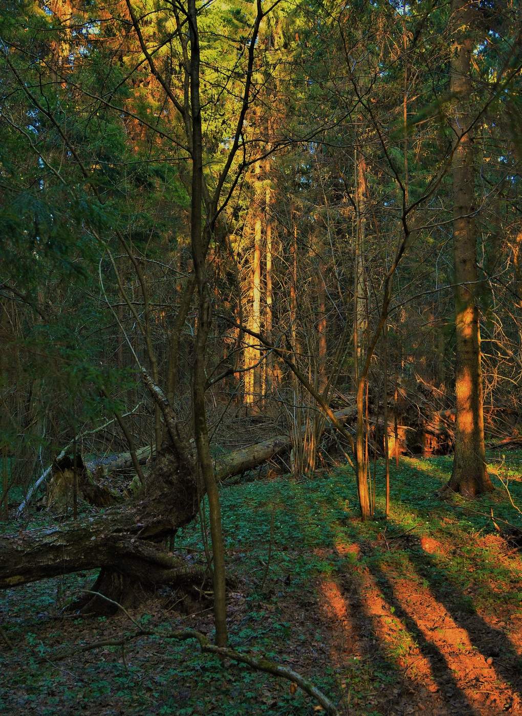 "Уж поздно. Вечереет день ..."