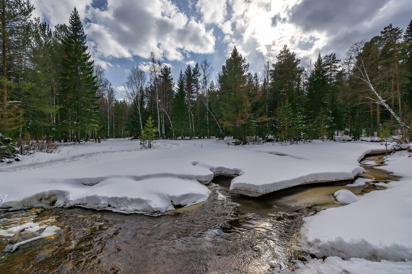 Нежданная зима