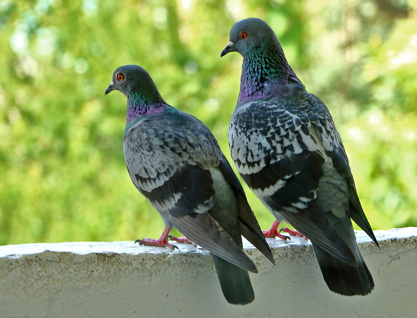 Эй, ты куда смотришь?..