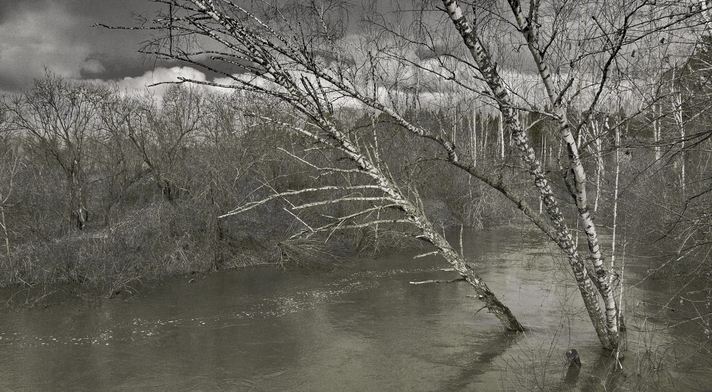 Вешняя вода.