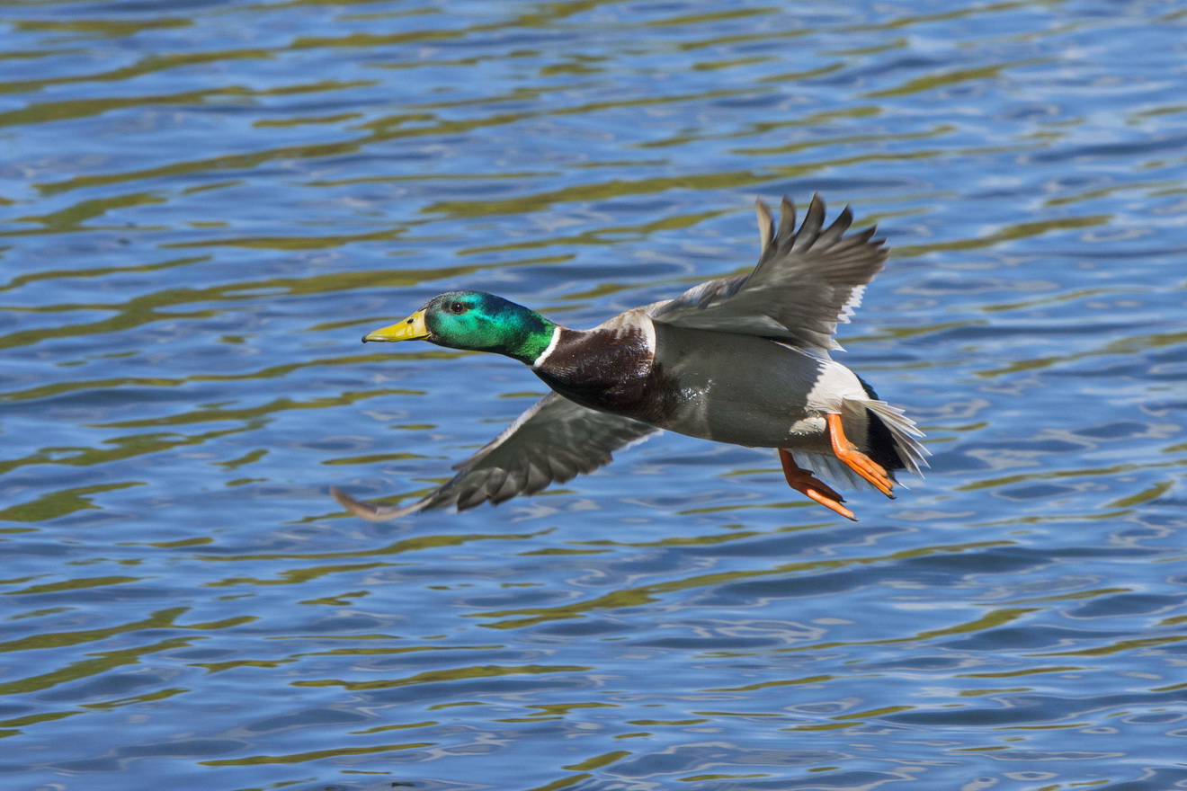 В весеннем наряде.