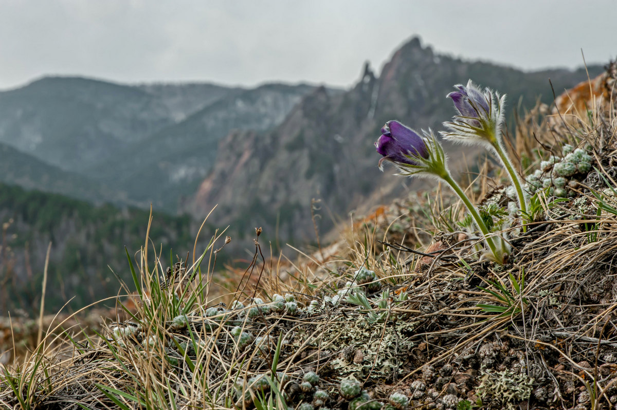 Хорошая парочка...