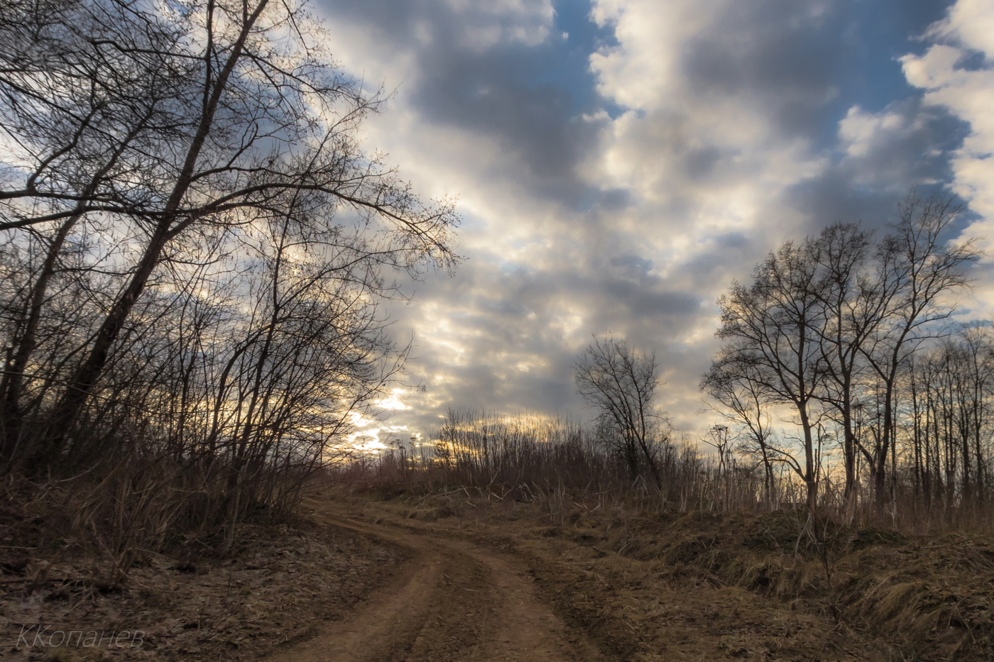 Весенний вечер