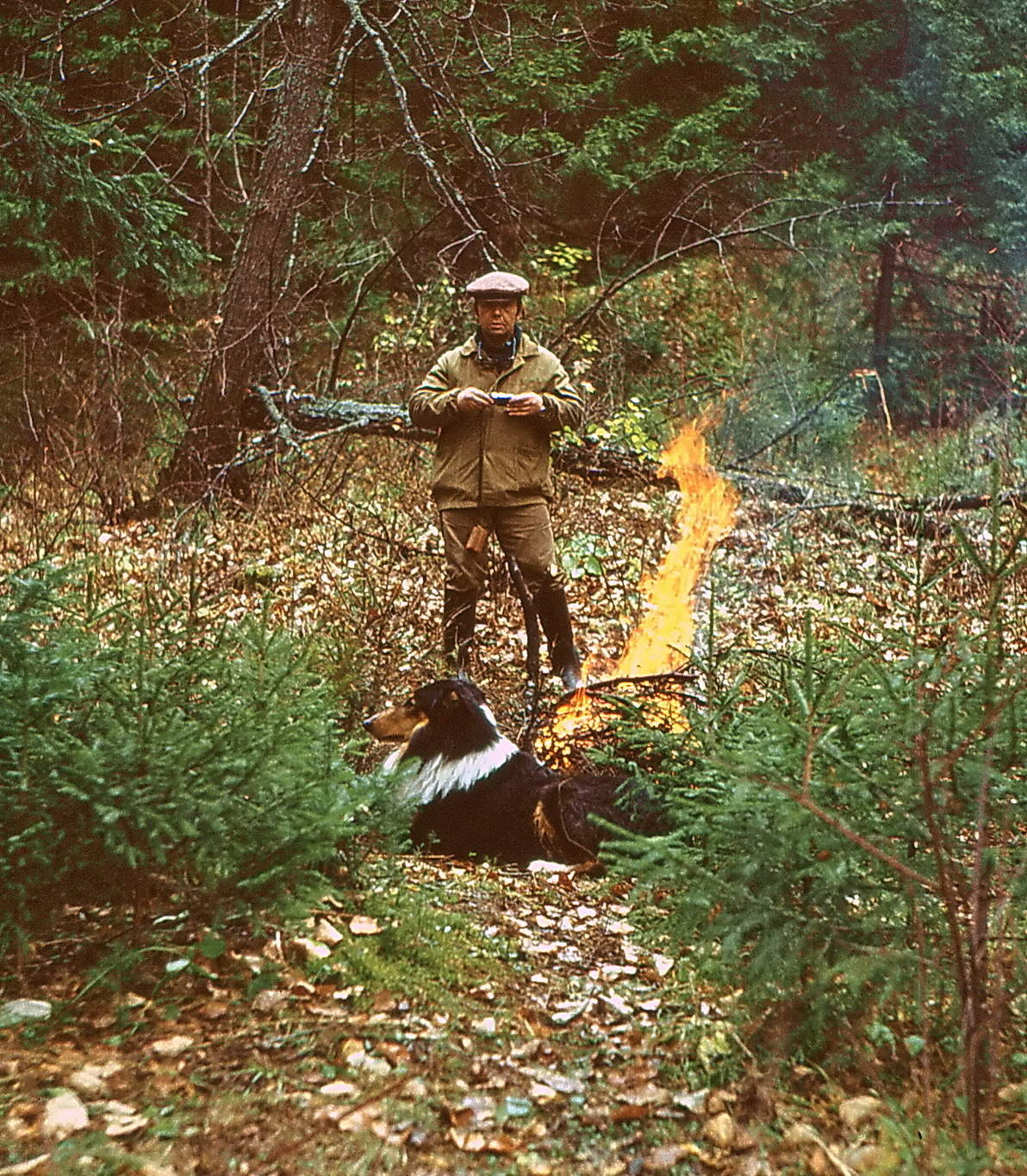 Любимое настроение