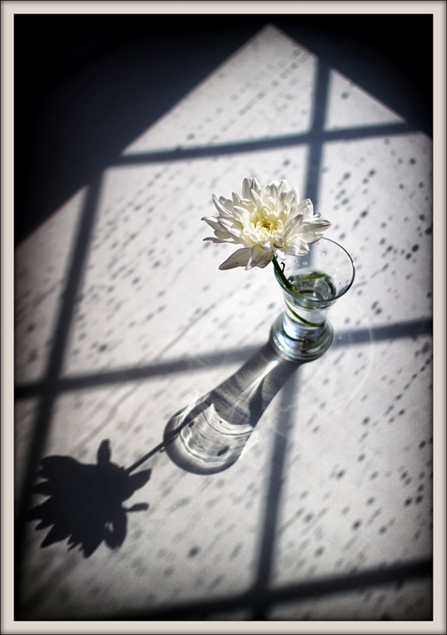 Любимое настроение