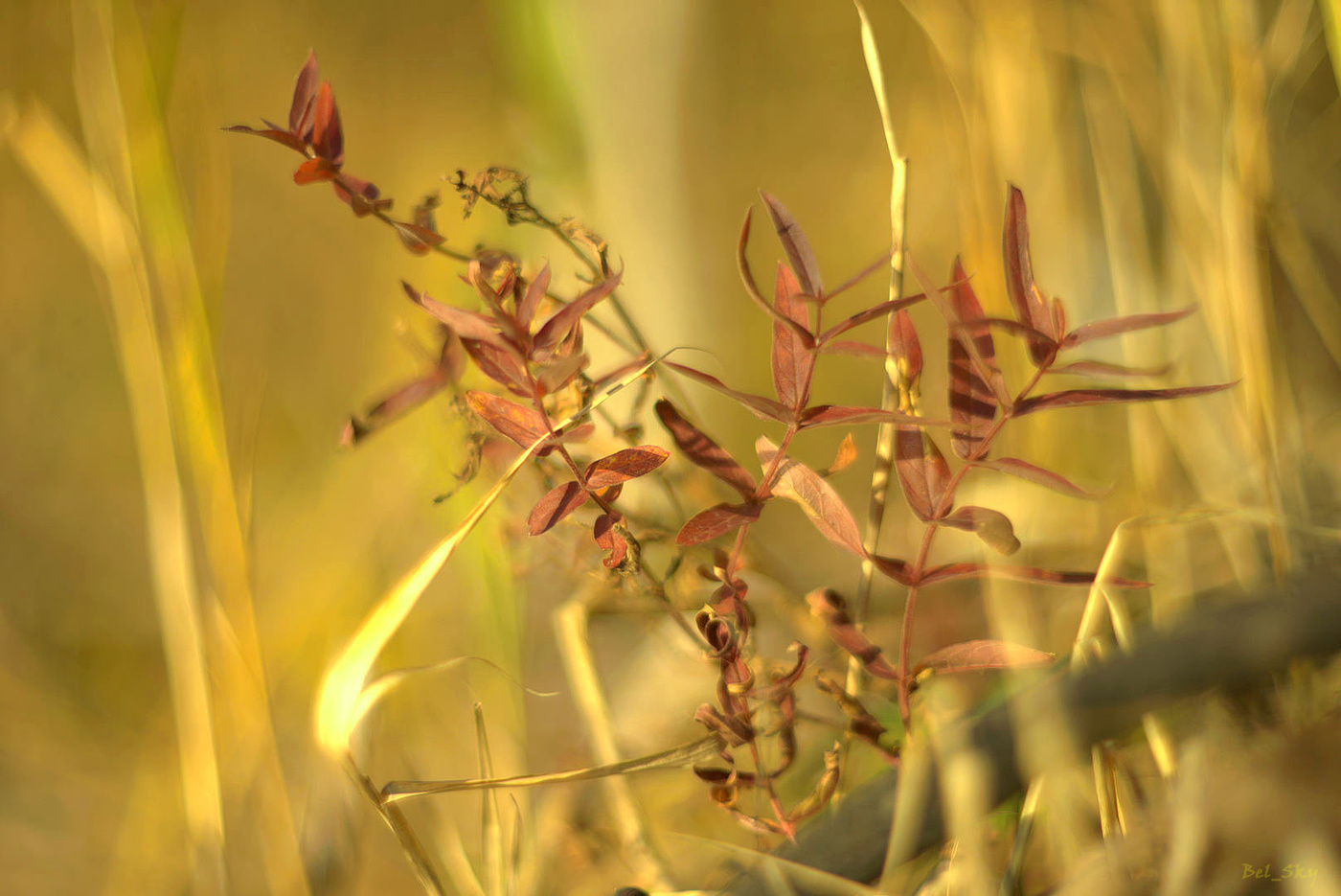 Любимое настроение