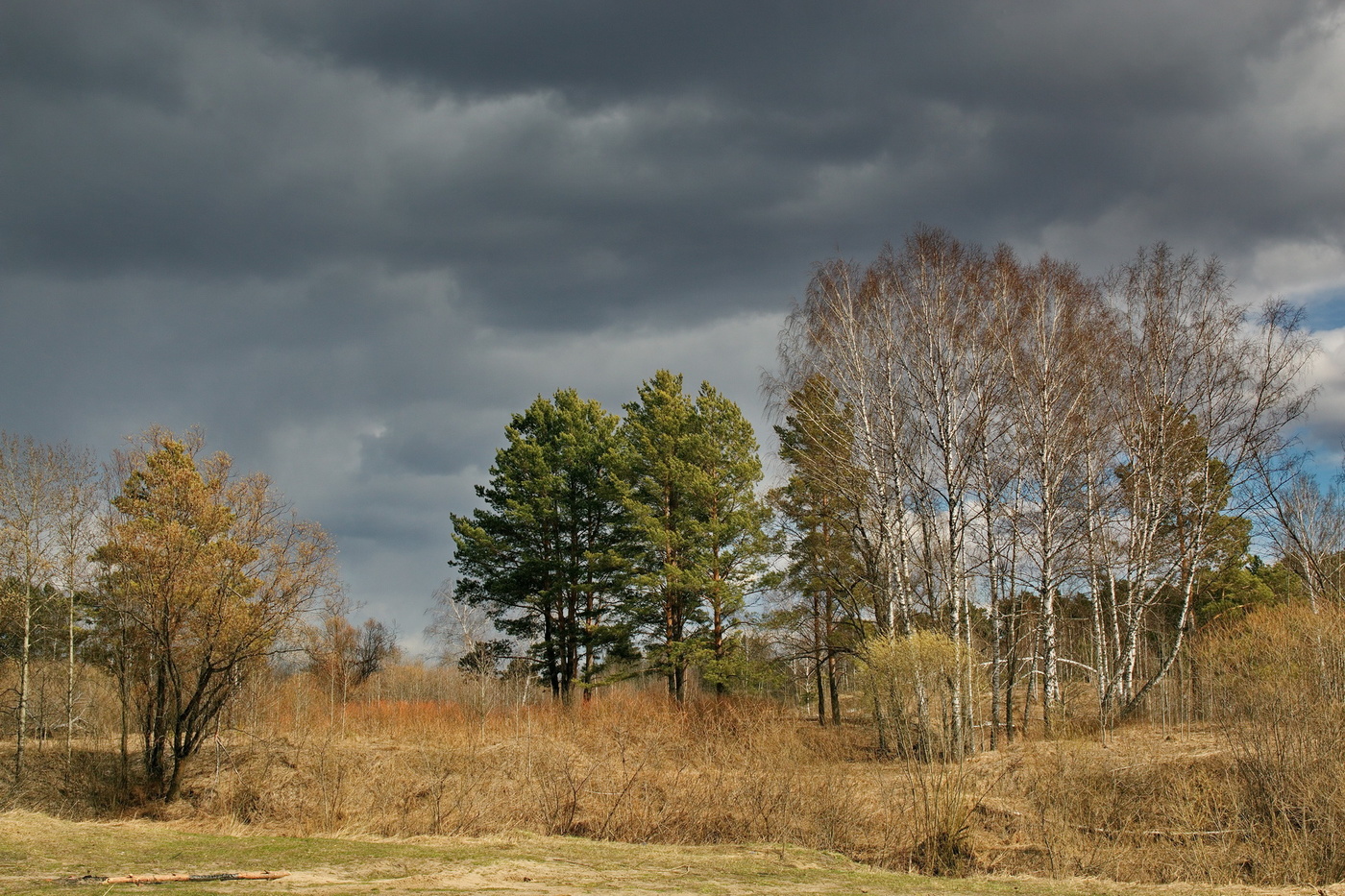 Любимое настроение