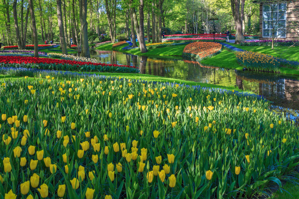 Любимое настроение