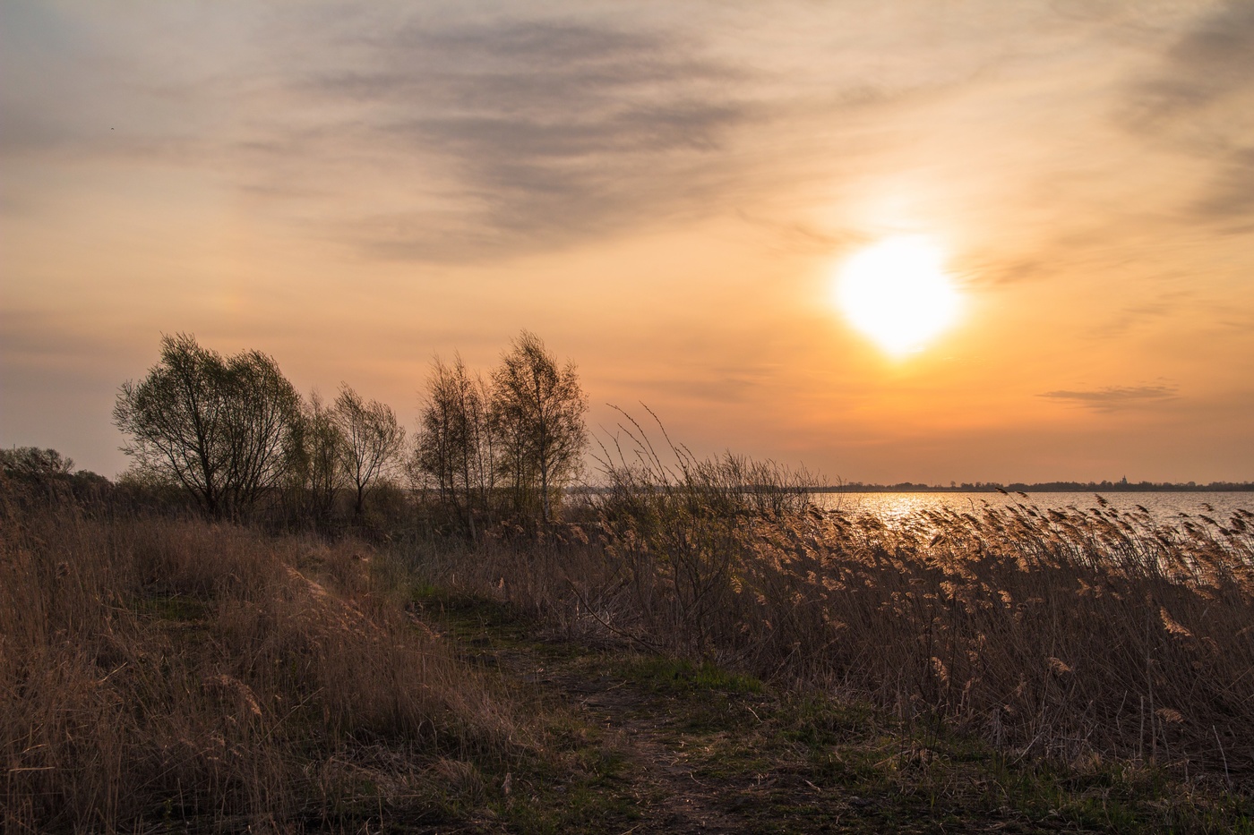 Майский рассвет