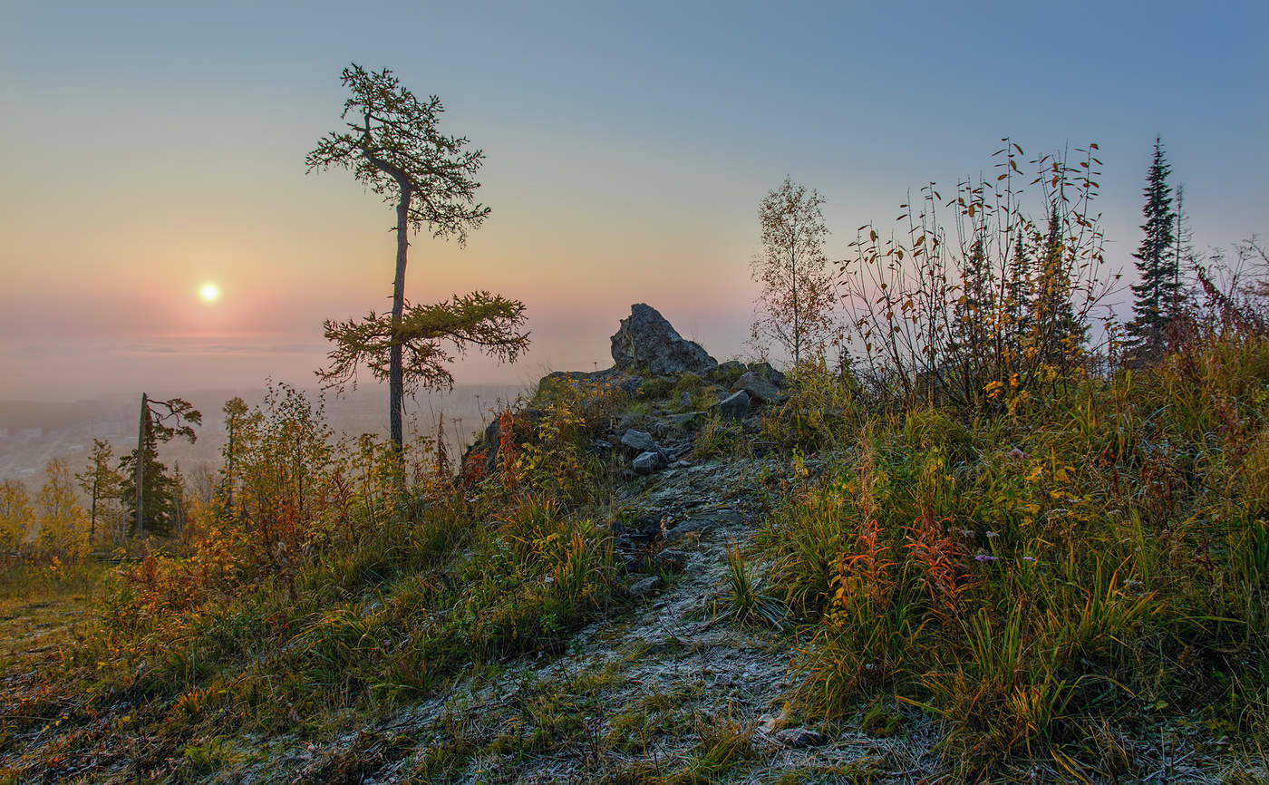 Утренний иней