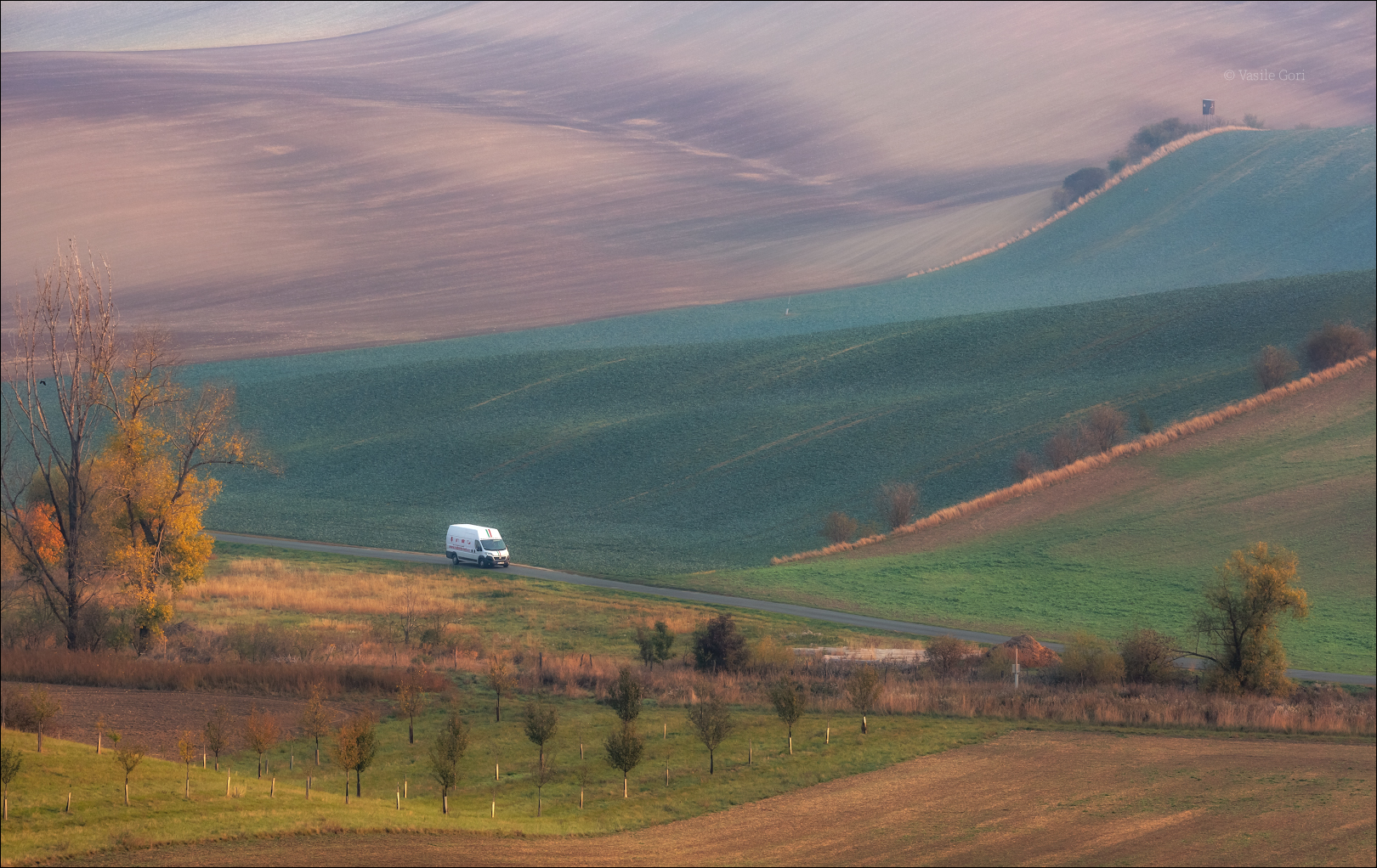 "Утренний курьер"