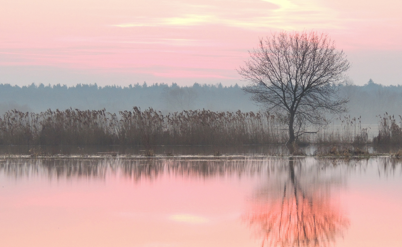 Весеннее утро